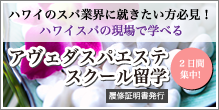 2日間集中!アヴェダスパエステスクール留学